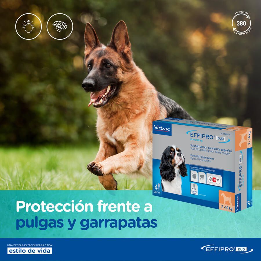 Effipro Duo pipetas antipar&aacute;sitos para perros, , large Imagen numero 7