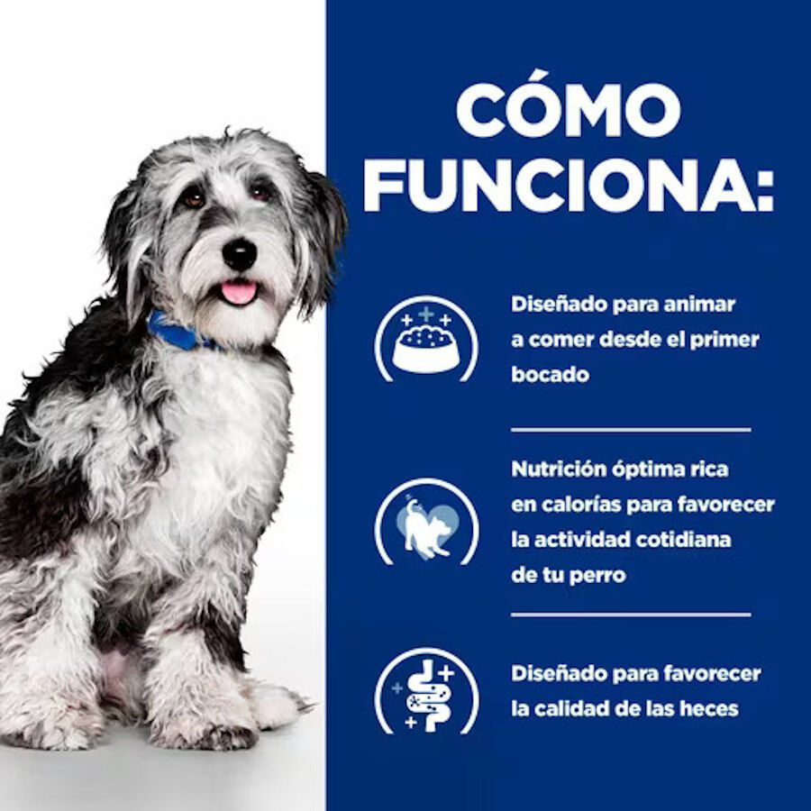 354 g Hill's Prescription Diet ON-Care Estofado de Pollo y Vegetales lata para perros, , large indicador imagen numero 4