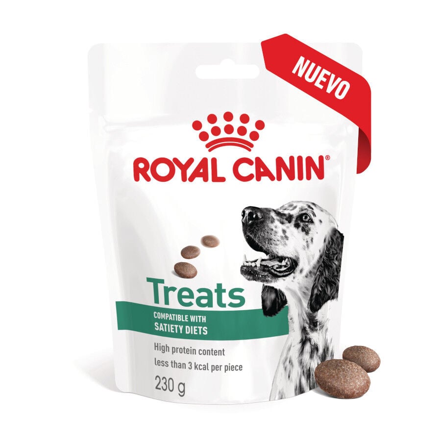 230 g Royal Canin Treats Satiefy Snacks para Perros, , large indicador imagen numero 2