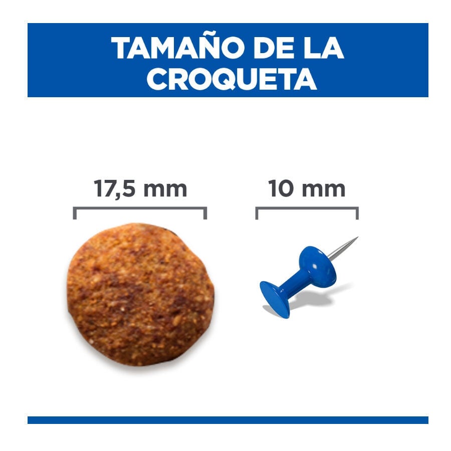 12 kg Hill's Science Plan Perfect weight y Active Mobility pollo pienso para perros grandes, , large indicador imagen numero 4