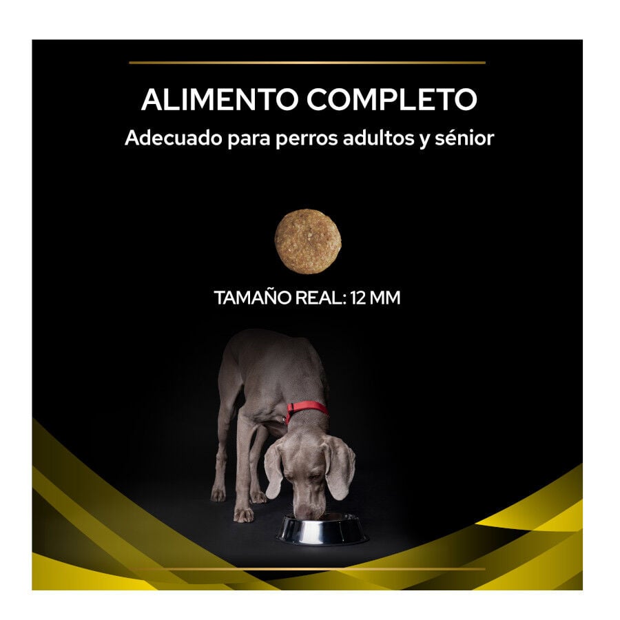 12 kg Pro Plan Veterinary Diets NC Neurocare pienso para perros, , large Imagen numero 3
