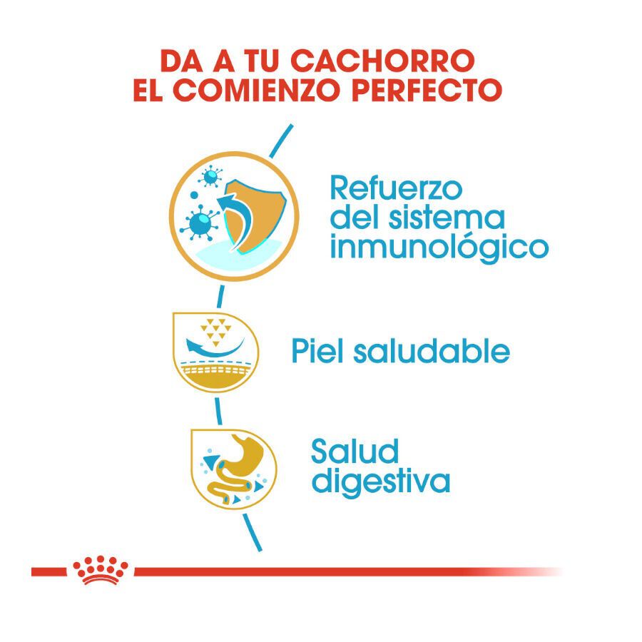 1.5 kg Royal Canin Puppy Pug pienso para perros, , large Imagen numero 6