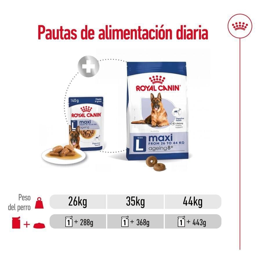 140 g Royal Canin Maxi Ageing sobre en salsa para perros&nbsp;senior, , large Imagen numero 7