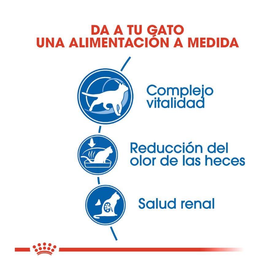 3.5 kg Royal Canin Home Life Indoor 7+ pienso para gatos, , large indicador imagen numero 5