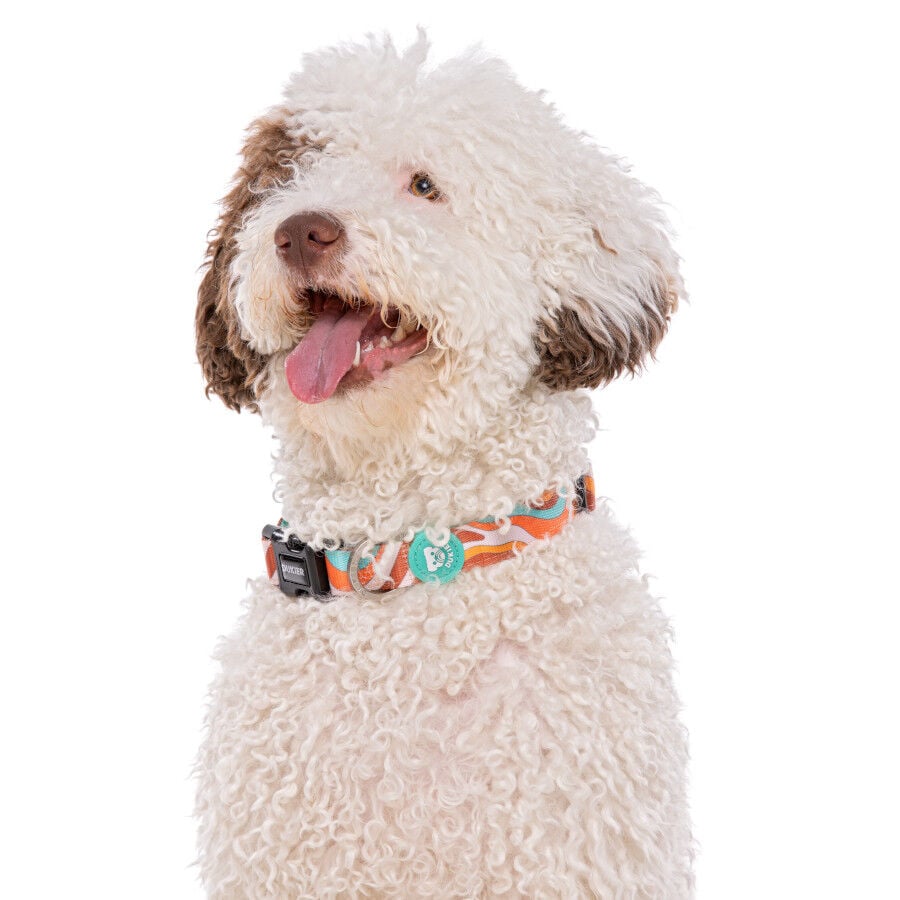 Dukier Peace collar para perros, , large indicador imagen numero 2