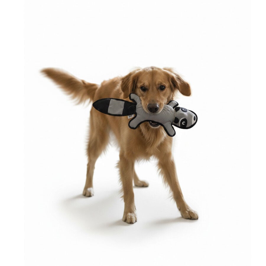 LOVE THE EARTH Peluche Resistente Mapache con Sonido para perros, , large indicador imagen numero 4