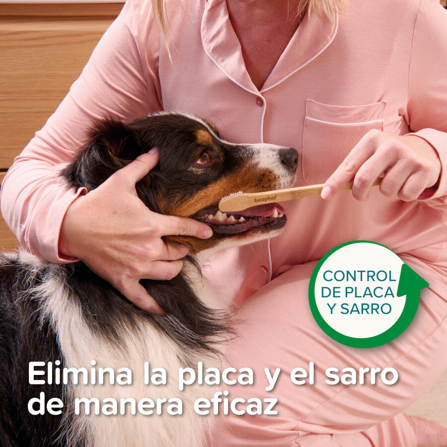 Beaphar Cepillo Dental de Bamb&uacute; para Perros y Gatos, , large Imagen numero 7