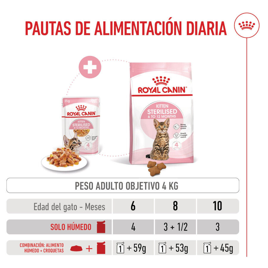 85 g Royal Canin Kitten Sterilised gelatina para gatos, , large Imagen numero 7