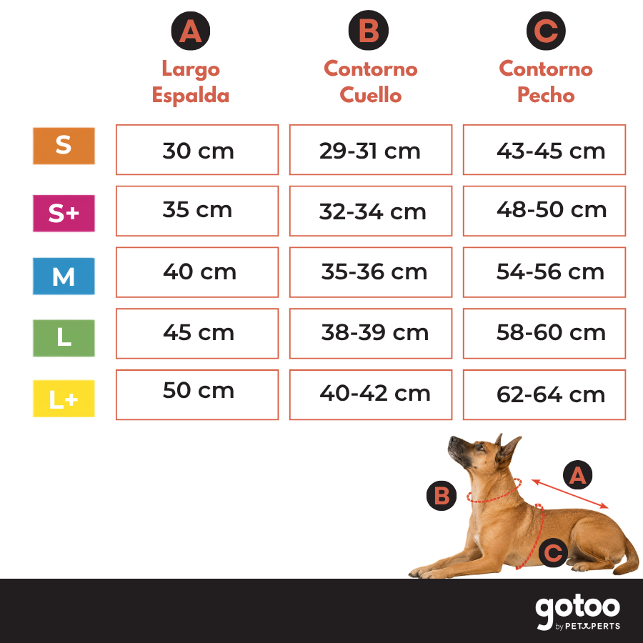 Gotoo Chaqueta Estampado ZigZag para perros, , large indicador imagen numero 5