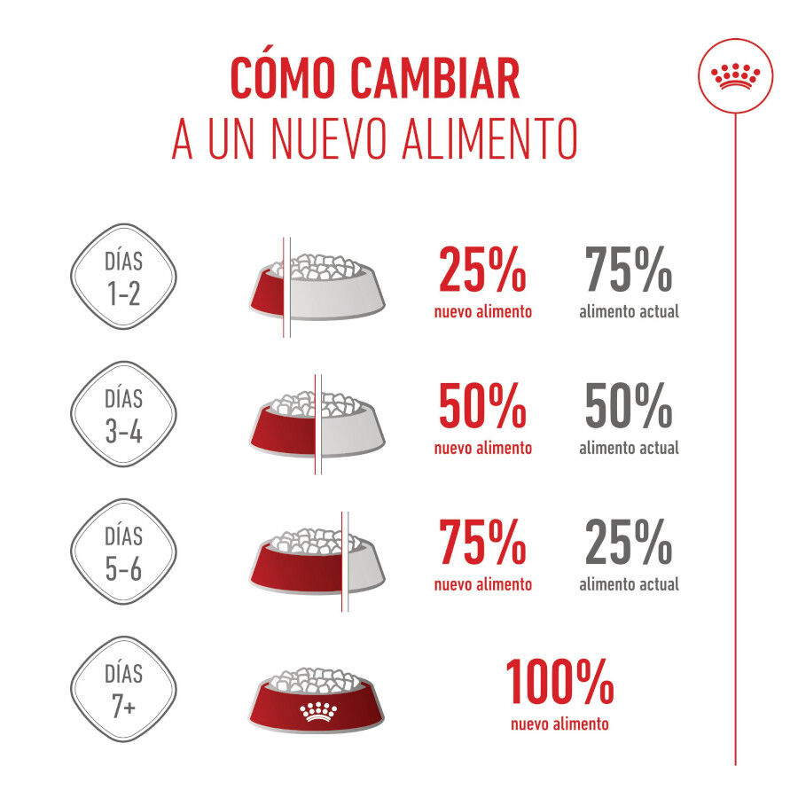 4 kg Royal Canin Mother & Babycat pienso para gatos, , large Imagen numero 10