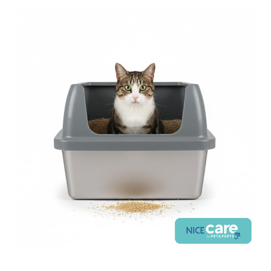 Nice Care Arenero Acero inoxidable para gatos
