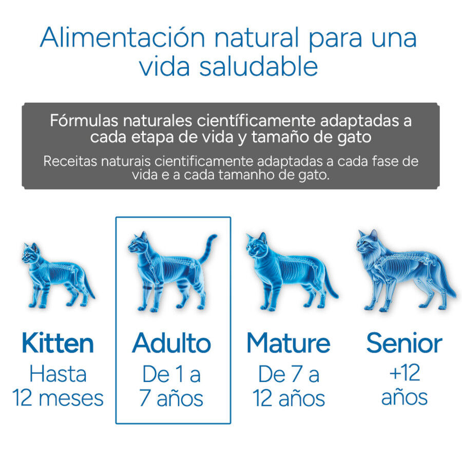10 kg Criadores Cient&iacute;fico Adulto Esterilizado Pollo pienso para gatos, , large Imagen numero 11