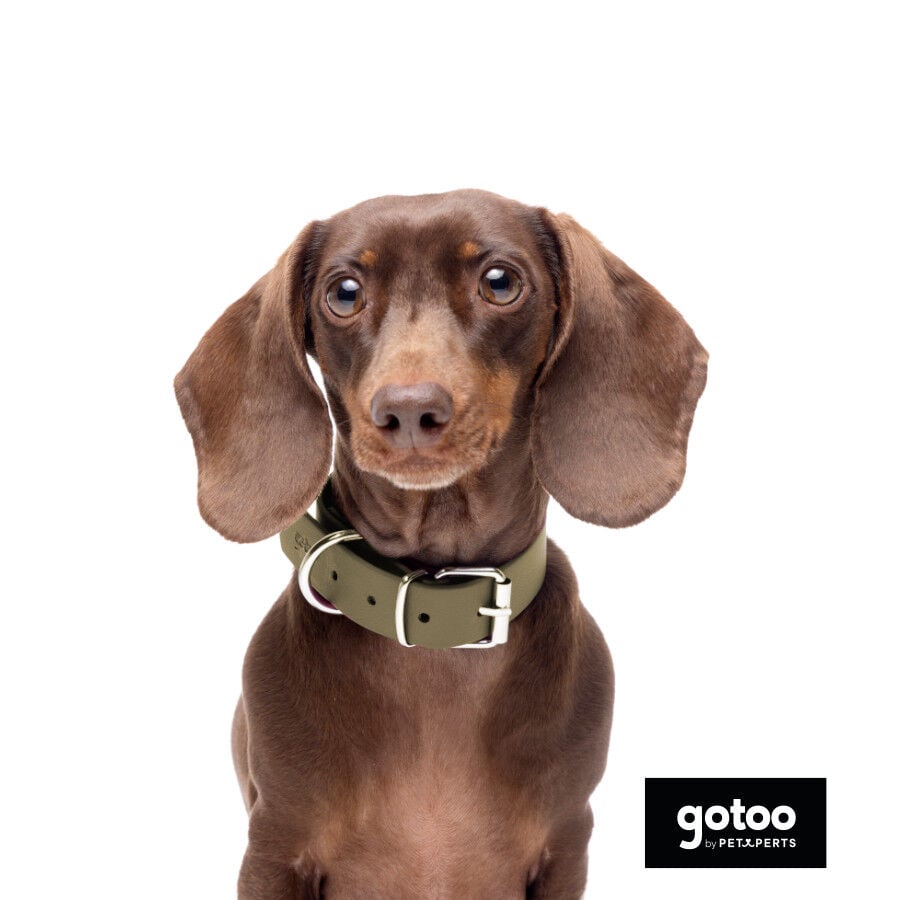 Gotoo Collar Biothane verde oliva para perros, , large indicador imagen numero 5