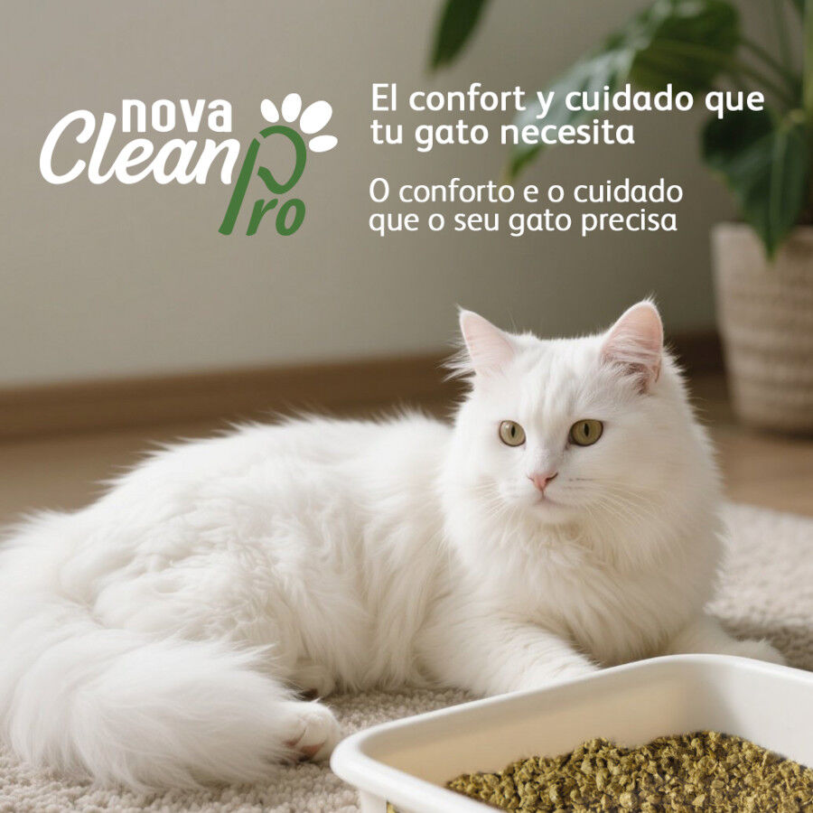 Nova Clean Pro Arena Vegetal para gatos, , large Imagen numero 5
