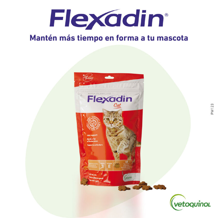 60 comprimidos Vetoquinol Flexadin Adult Condroprotector para gatos, , large indicador imagen numero 1