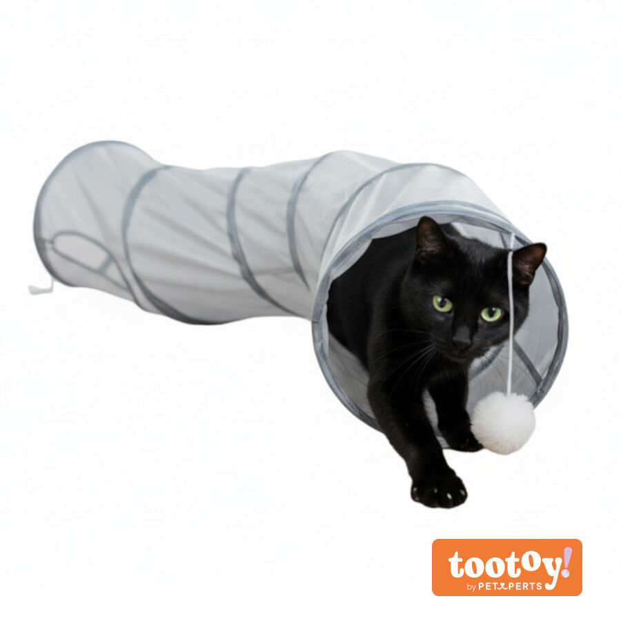 Tootoy! Tunel de Tela con Juguete para gatos, , large indicador imagen numero 9