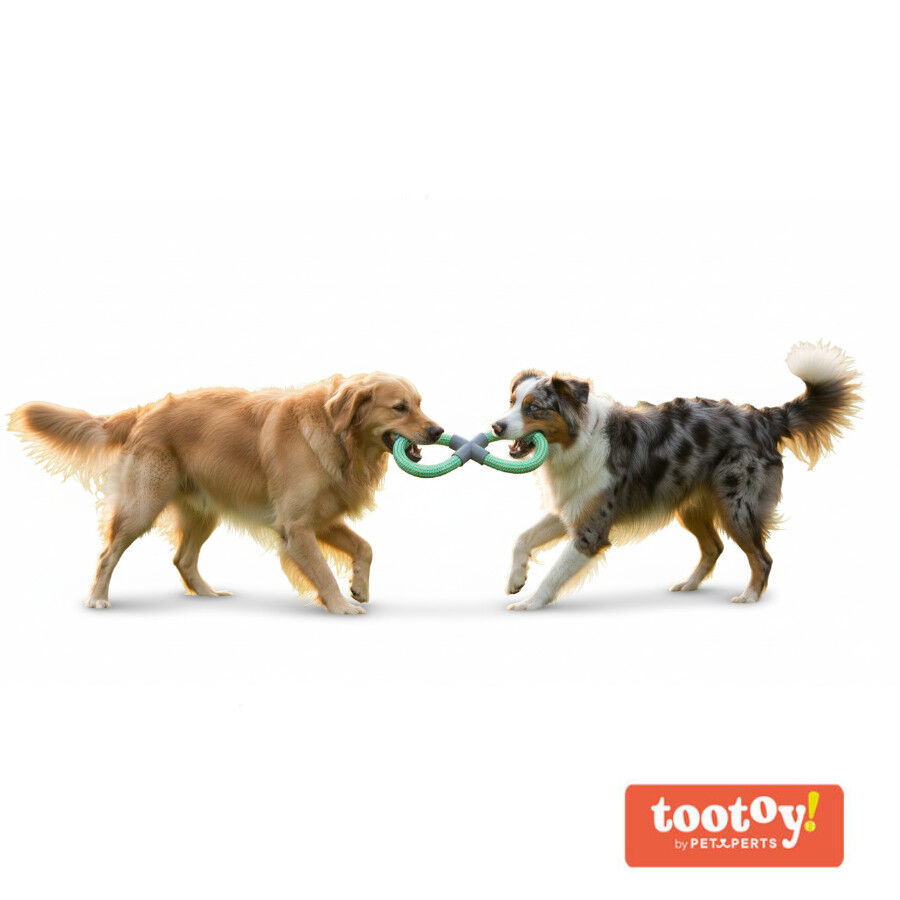 Tootoy! Mordedor de Cuerda Doble Azul y Verde para perro, , large indicador imagen numero 3