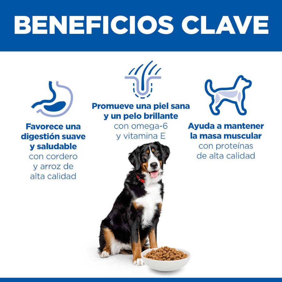 14 kg Hill's Science Plan Adult Large Cordero pienso para perros, , large indicador imagen numero 5