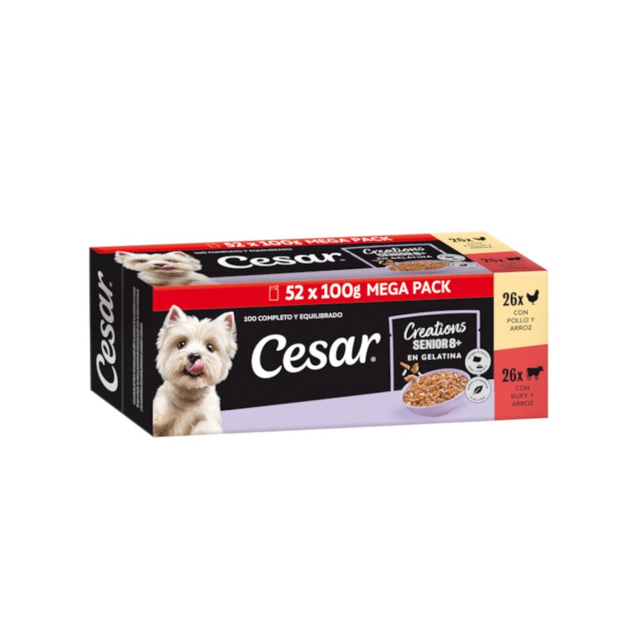 52 sobres x 100 g Cesar Carnes Mixtas Gelatina en Bolsita para Perros Senior 8+ - Multipack, , large indicador imagen numero 1