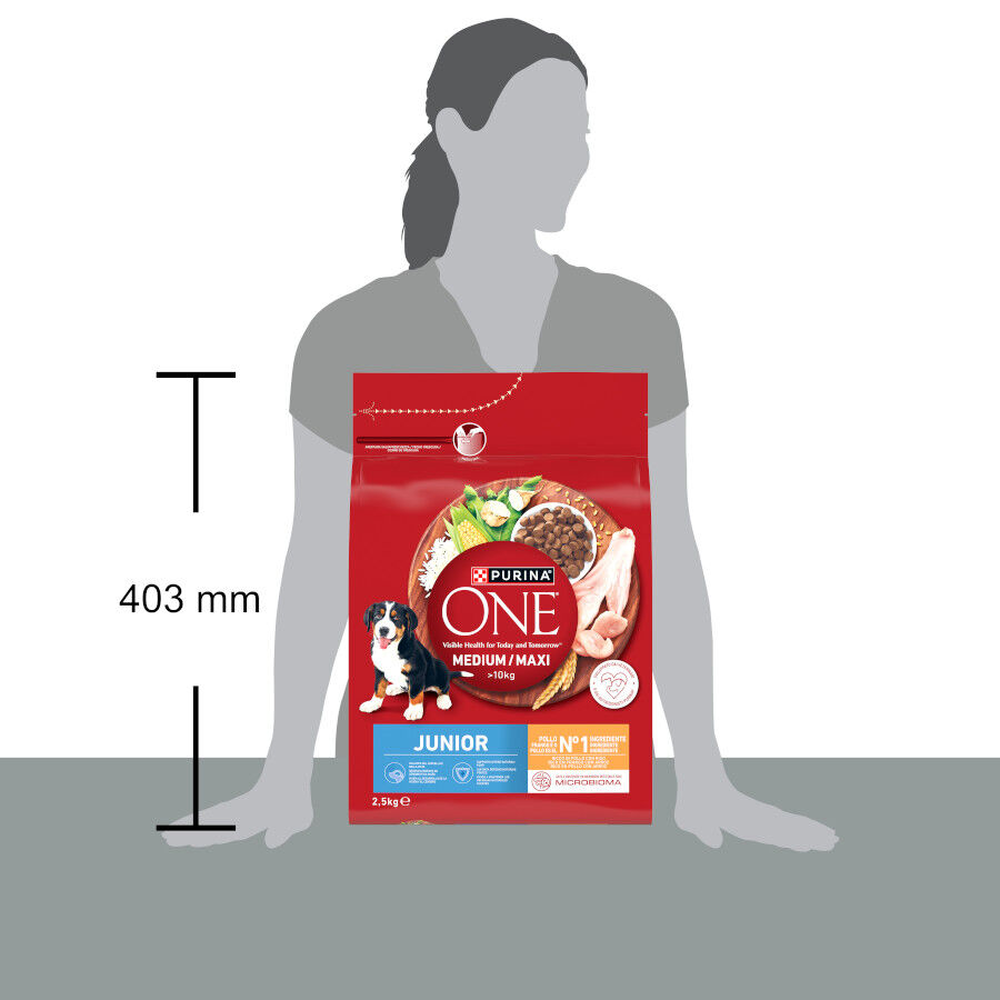 2,5 kg Purina One Pienso Pollo para perros junior, , large indicador imagen numero 4