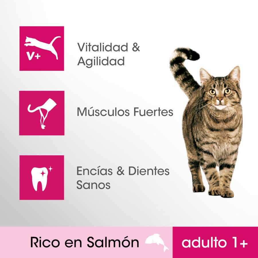 1.4 kg Perfect Fit Adult 1+ Esterilizado Salm&oacute;n pienso para gatos, , large indicador imagen numero 2