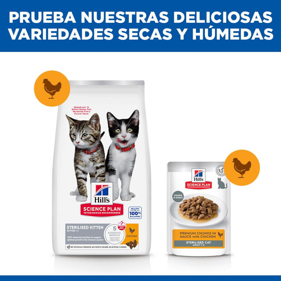 3 kg Hill's Science Plan Sterilised Kitten Pollo pienso para gatos, , large indicador imagen numero 8
