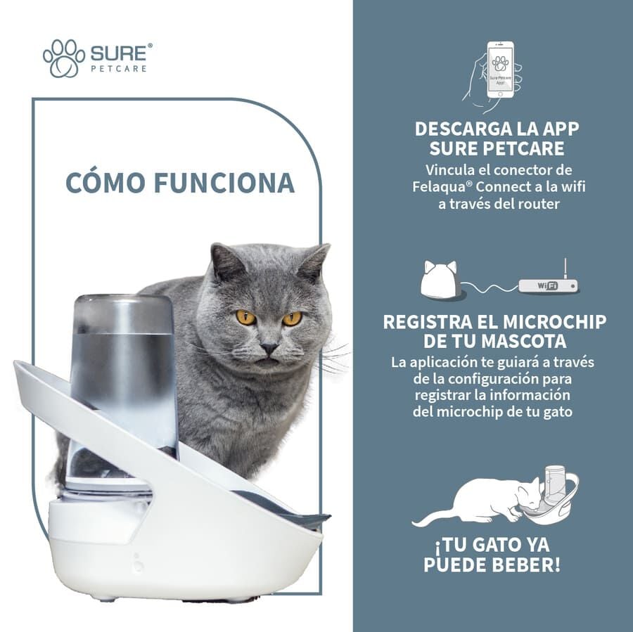 Sure Petcare Felaqua Connect Bebedero Autom&aacute;tico para gatos indicador imagen numero 3