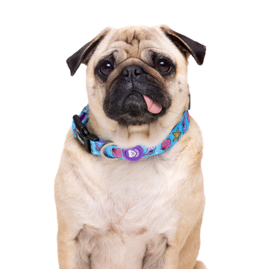 Dukier Mermaid collar para perros, , large indicador imagen numero 2