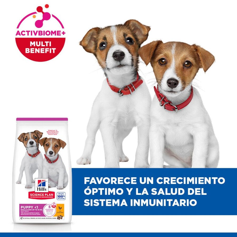 6 kg Hill's Science Plan Puppy Small y Mini Pollo Pienso para cachorros, , large Imagen numero 4