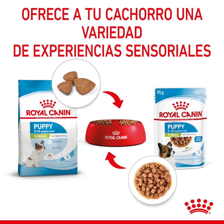 85 g Royal Canin X-Small Puppy Trocitos en Salsa sobre para perros, , large indicador imagen numero 7
