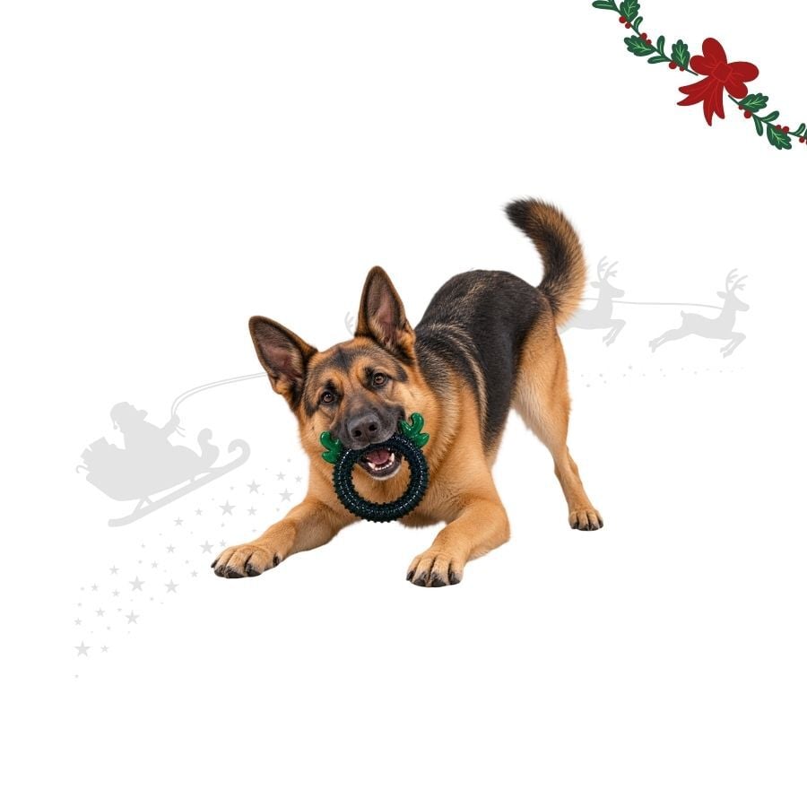 Wonder Christmas Aro de Reno Juguete para perros, , large Imagen numero 1