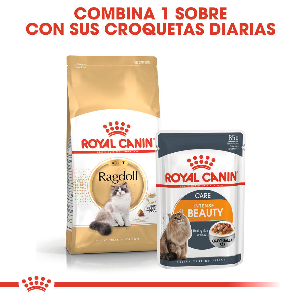 2 kg Royal Canin Adult Ragdoll pienso para gatos, , large indicador imagen numero 6