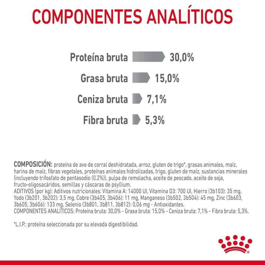 8 kg Royal Canin Adult Oral pienso para gatos, , large Imagen numero 6