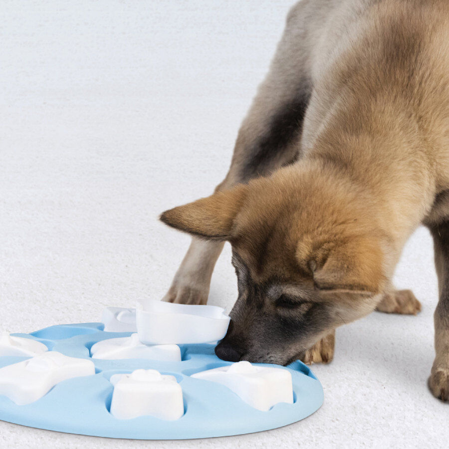 Outward Hound Puppy Smart Rompecabezas para perros, , large Imagen numero 3