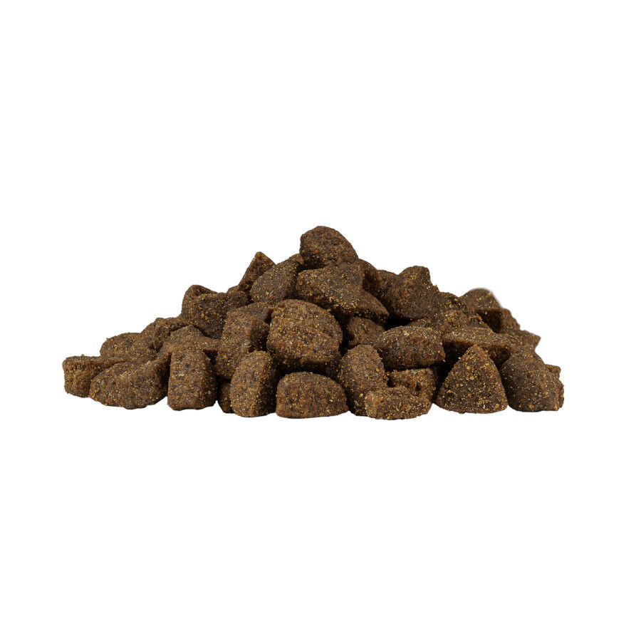 Weego Grain Free Mini Adult Ocean Salm&oacute;n pienso para perros, , large indicador imagen numero 2