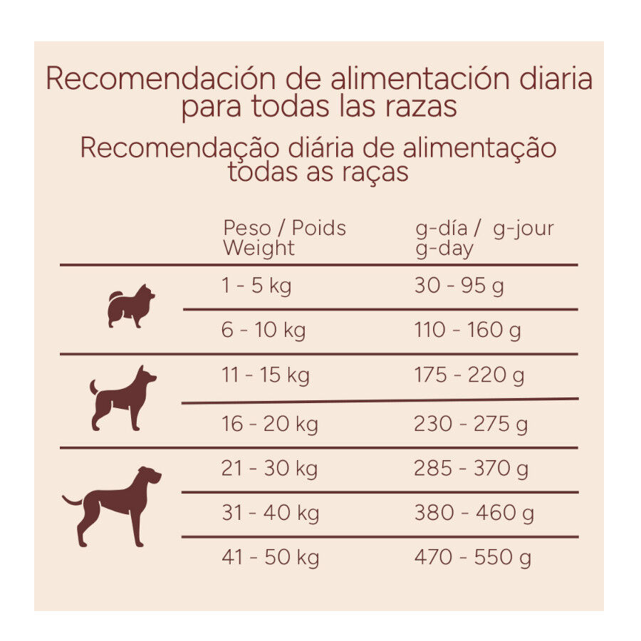 10 kg Criadores Monoproteico Adulto con Cordero pienso para perros, , large indicador imagen numero 10