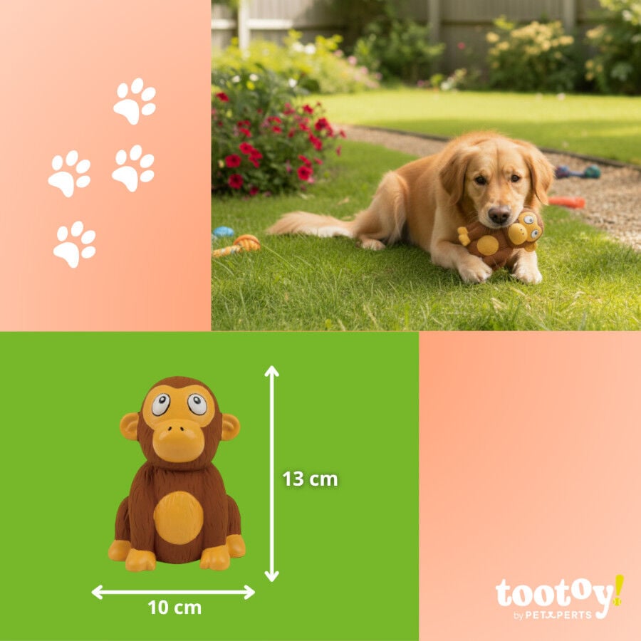 Tootoy! Chimpanc&eacute; Mordedor con Sonido para perros, , large indicador imagen numero 4
