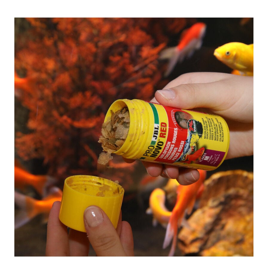 JBL ProNovo Red Flakes M alimento para peces, , large Imagen numero 2