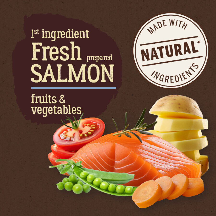 3 kg True Origins Pure Grain Free Adult Mini Salm&oacute;n pienso para perros, , large Imagen numero 2