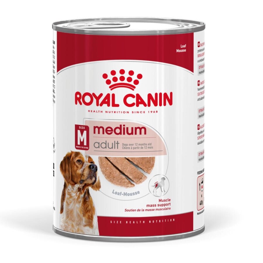 Royal Canin Medium Adult Pat&eacute; lata para perros