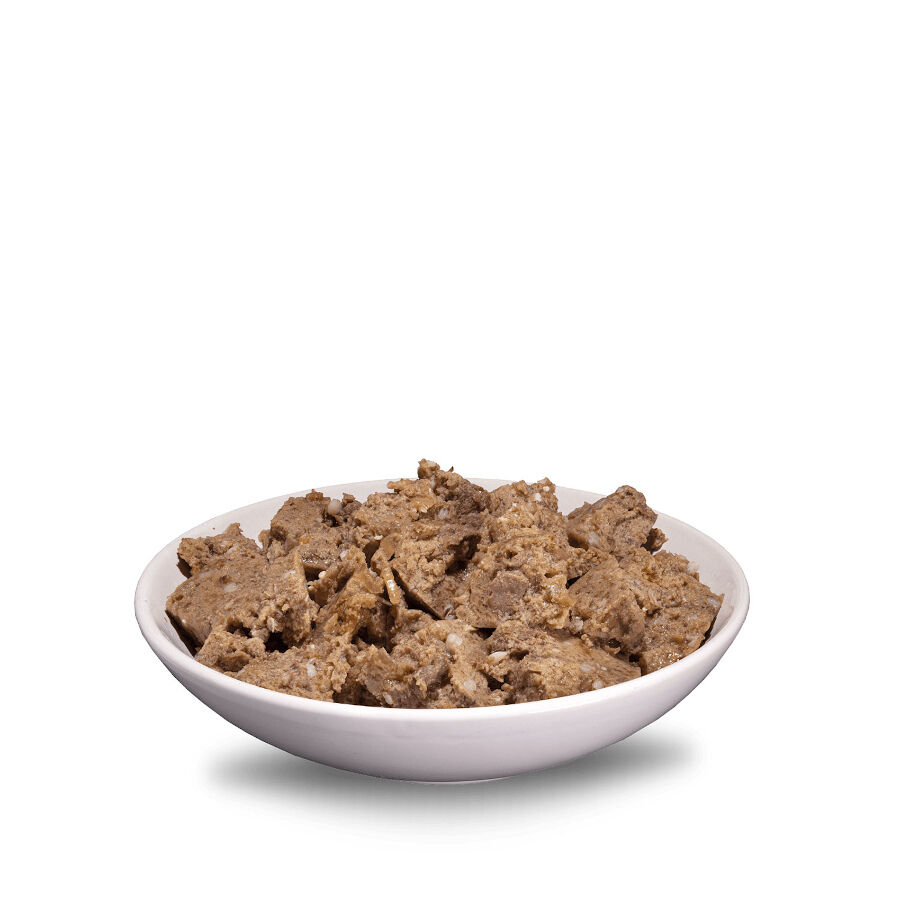400 g ERA Sybarite Adulto Pollo, Pescado y Calabaza en pat&eacute; lata para perros, , large Imagen numero 2