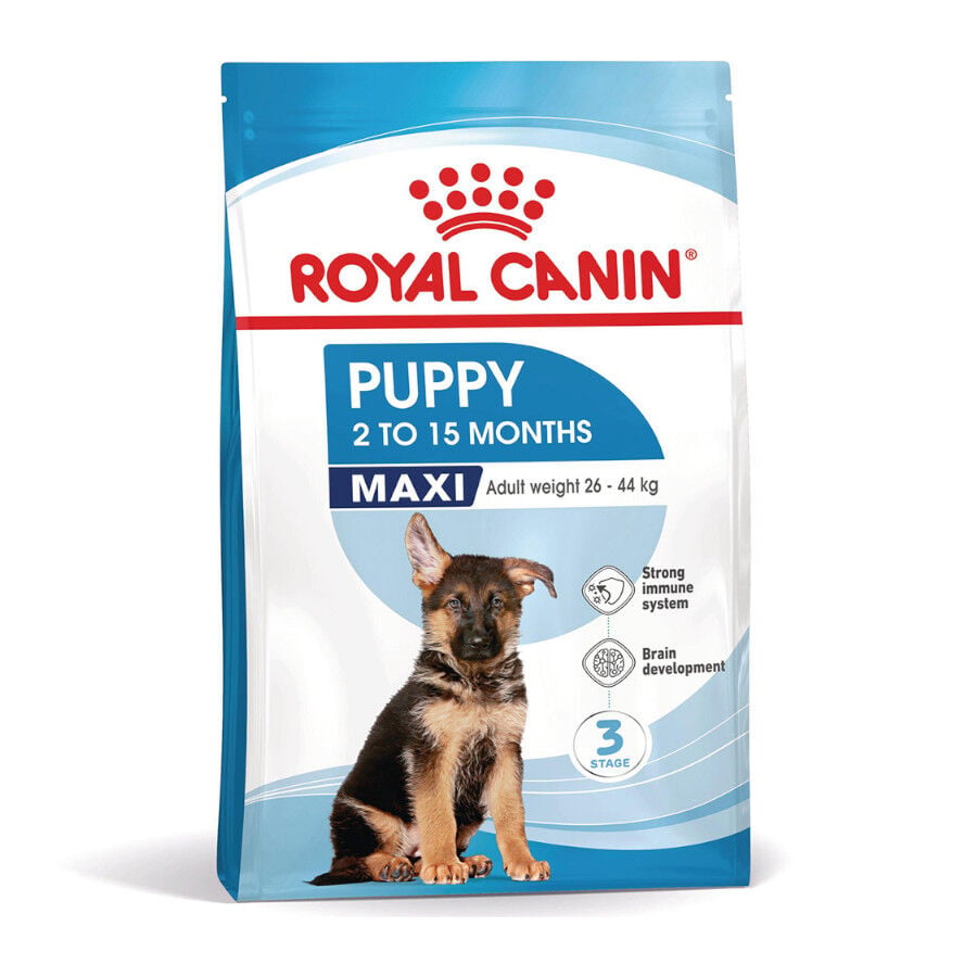 15 kg Royal Canin Puppy Maxi pienso para perros, , large Imagen numero 1