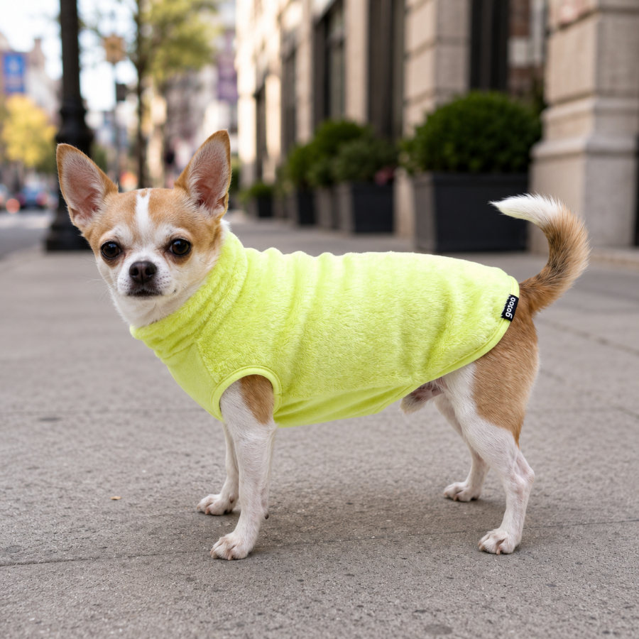 Gotoo Jersey Polar Verde Lima para perros, , large indicador imagen numero 1