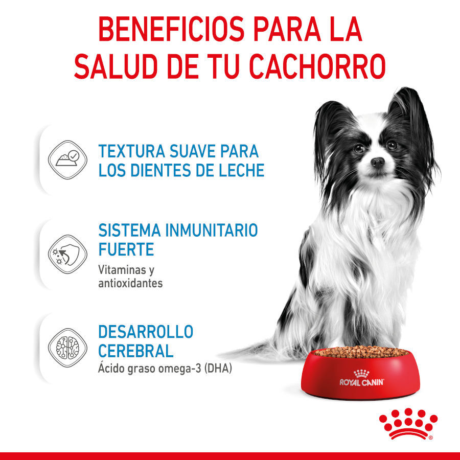85 g Royal Canin X-Small Puppy Trocitos en Salsa sobre para perros, , large indicador imagen numero 6