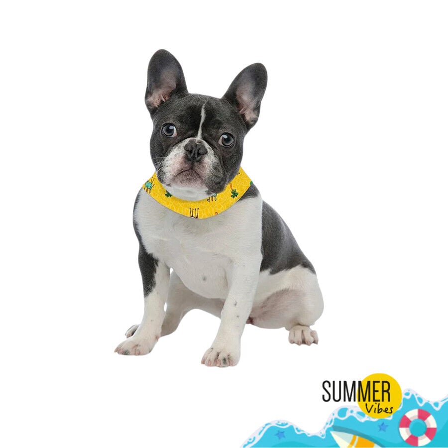 Summer Vibes Bandana refrescante para perros, , large indicador imagen numero 2