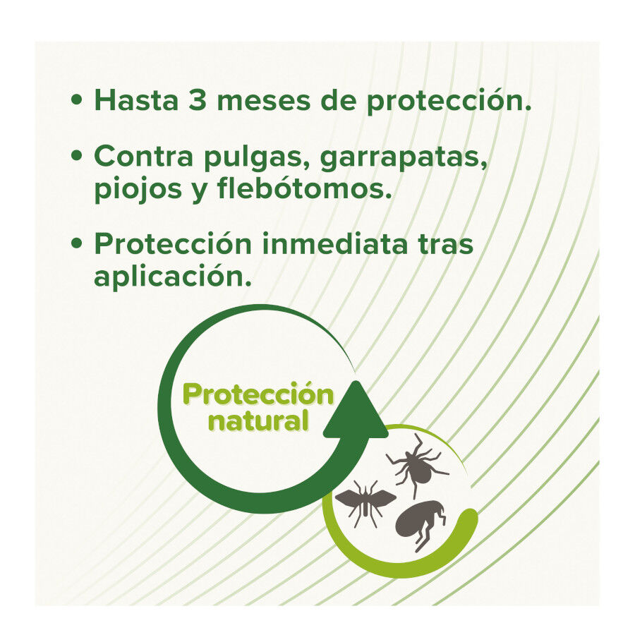 Beaphar Pipetas Repelentes para perros, , large indicador imagen numero 3