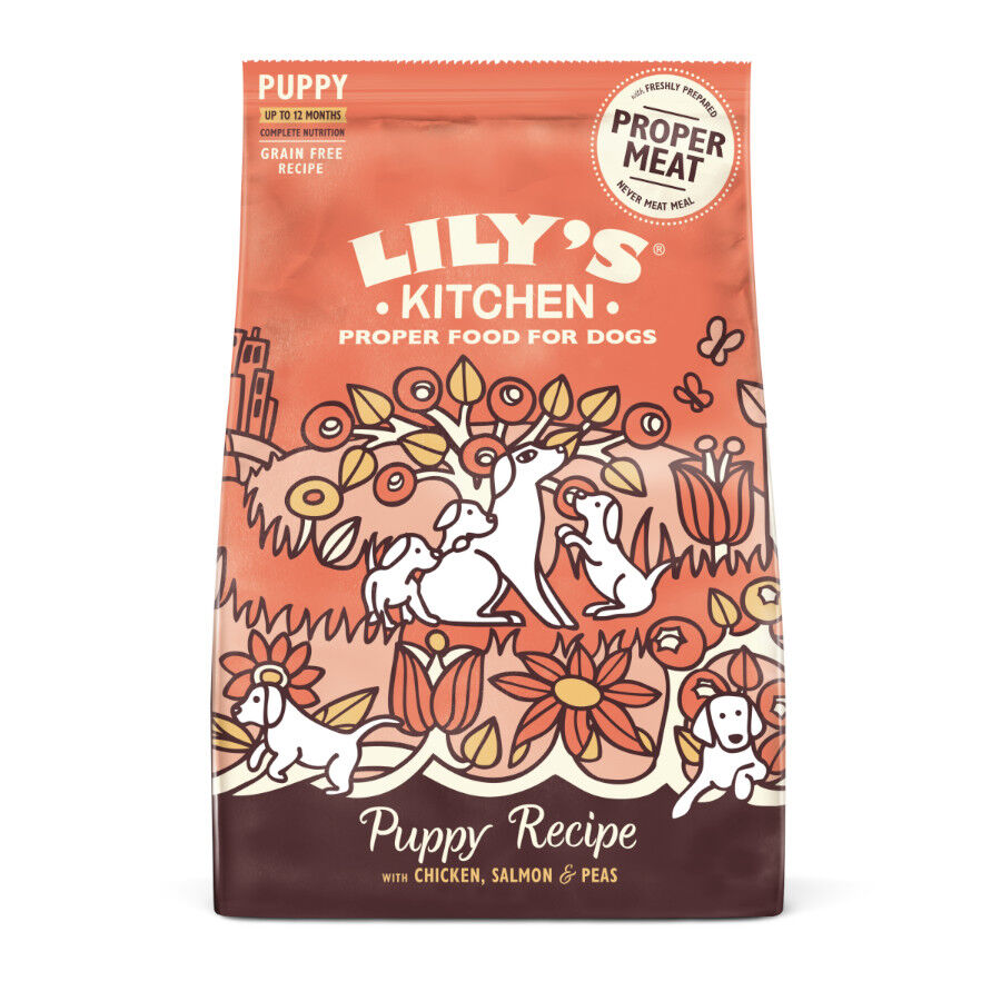 Lily's Kitchen Puppy Pollo y Salm&oacute;n pienso para perros