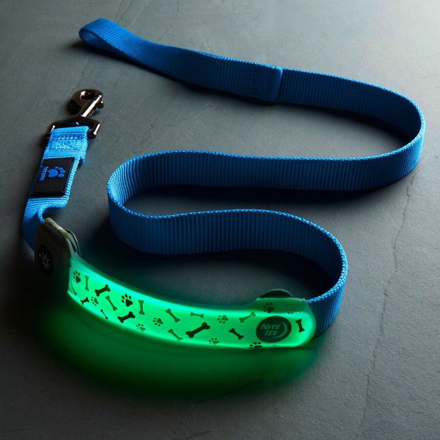 Nite Ize NiteDog Banda LED Recargable para perros, , large Imagen numero 7