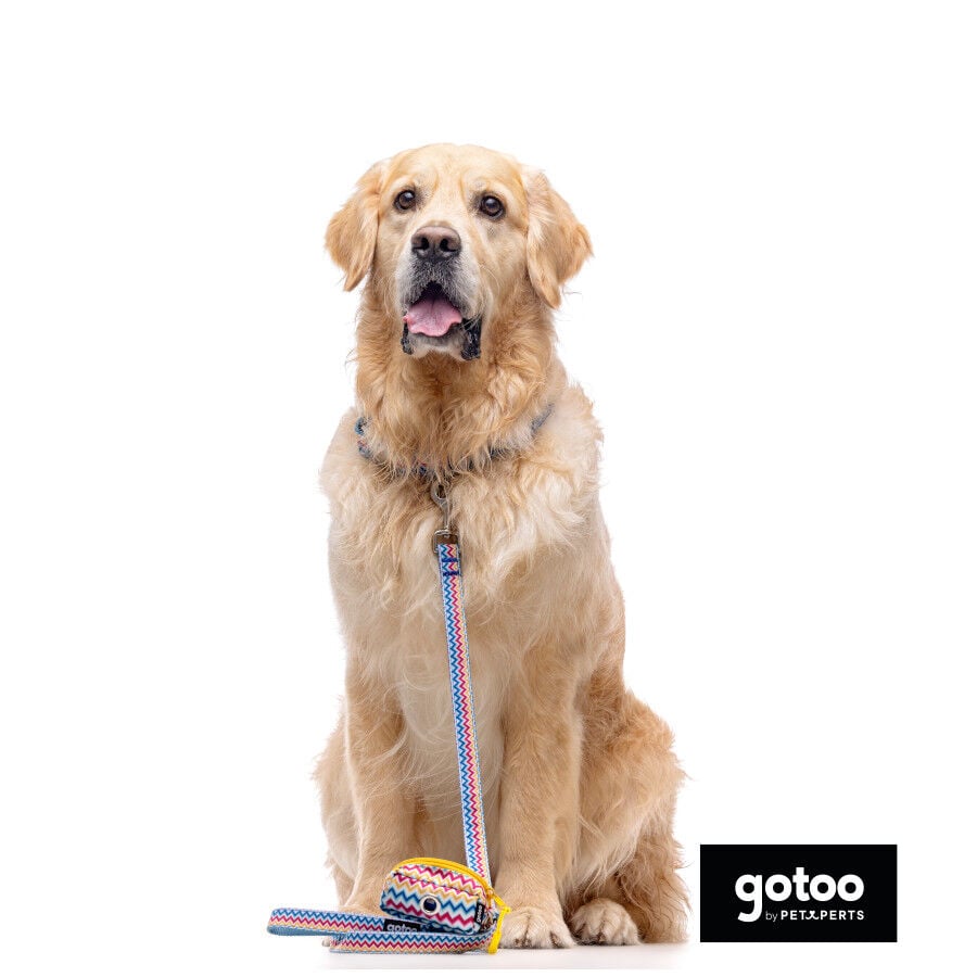 Gotoo Collar estampado rayas zig-zag para perros, , large Imagen numero 5