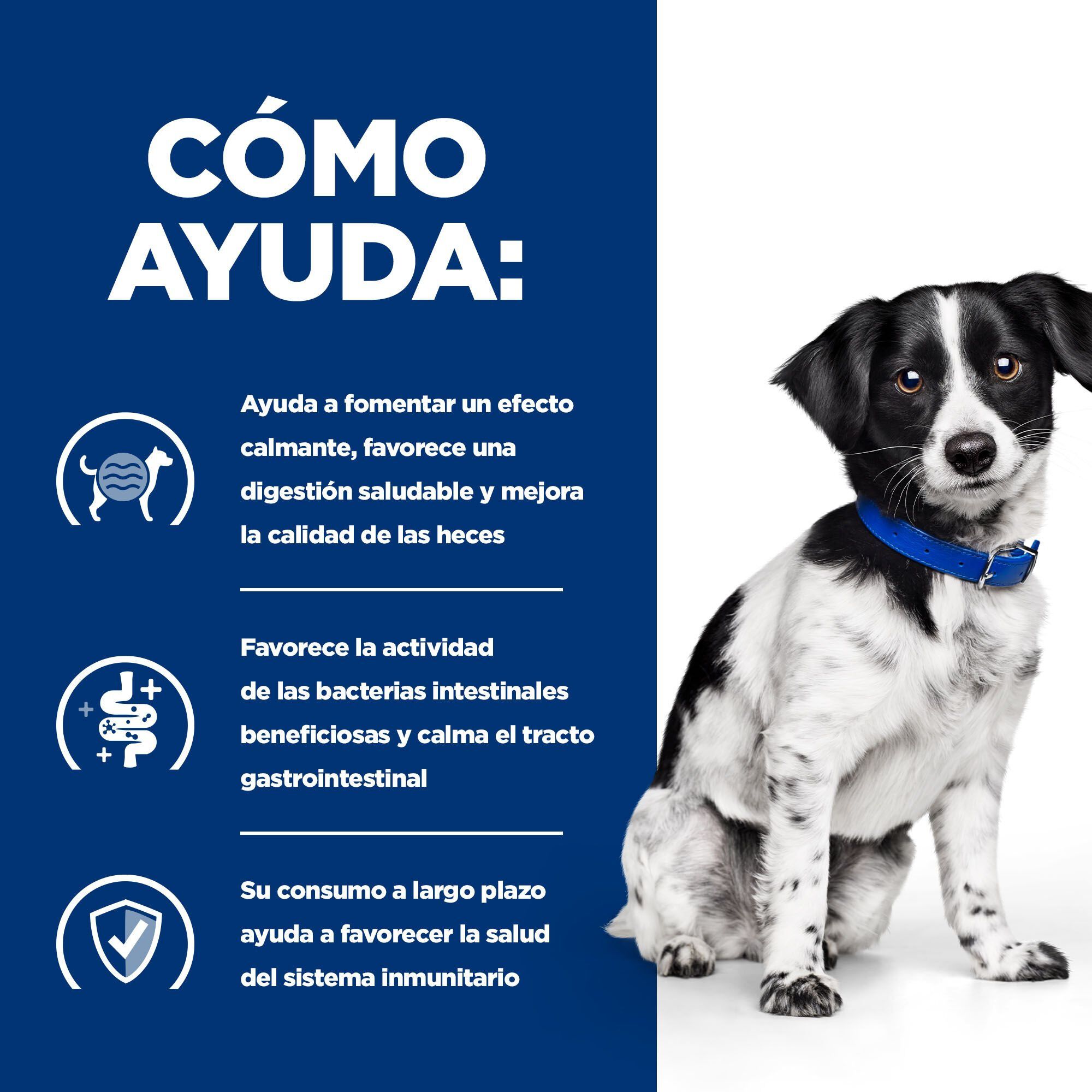 6 kg Hill's Prescription Diet Mini Digestive Care Stress i/d pienso para perros, , large indicador imagen numero 4